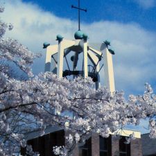 Bezoek aan Timo en Marijke&nbsp;Harmsen