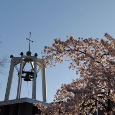 Vieringen op de vijfde&nbsp;zondagen